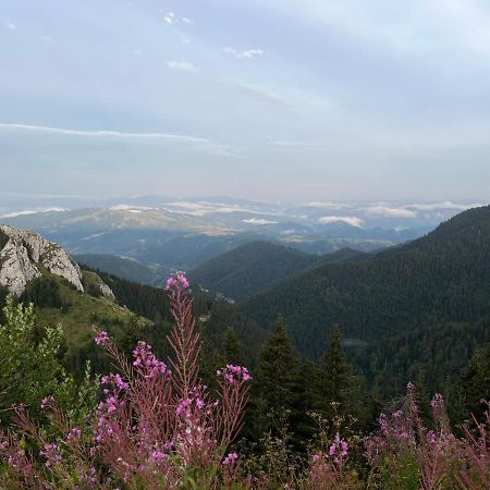 Lux Apartman A18 & Spa Centar Kopaonik Exteriör bild