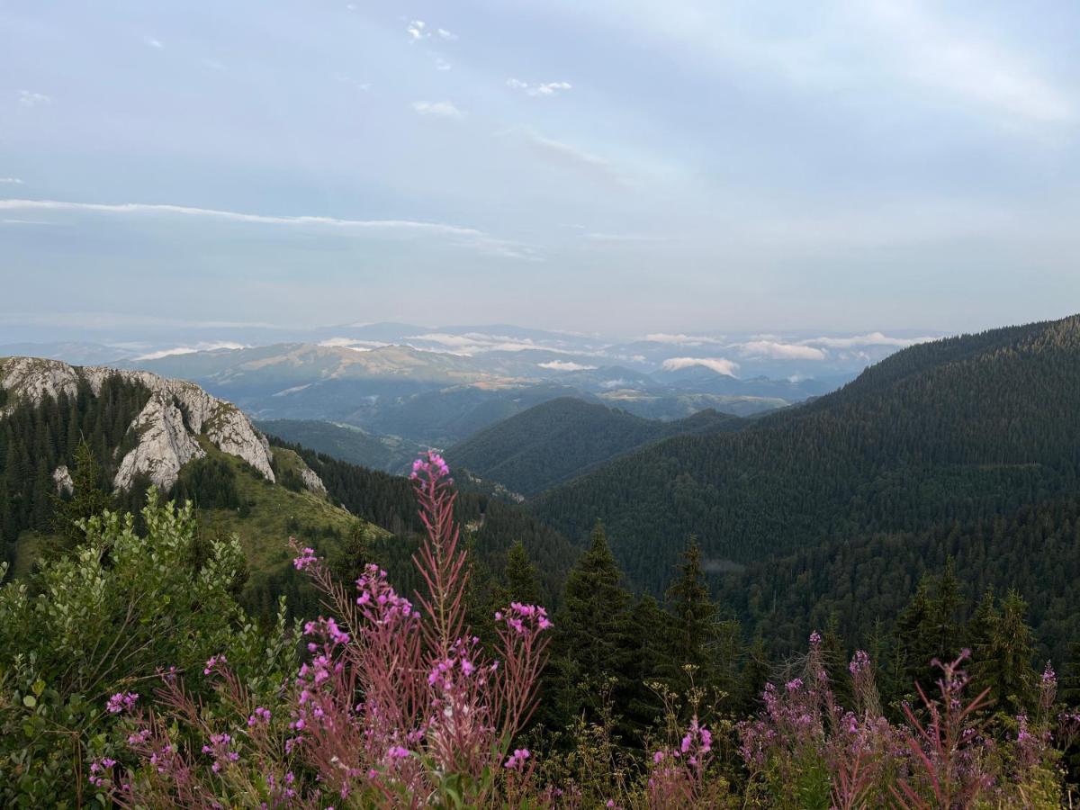 Lux Apartman A18 & Spa Centar Kopaonik Exteriör bild